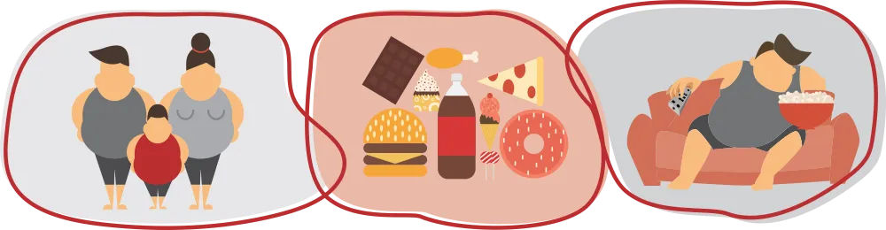 Ilustración de las causas de la obesidad: genética, disponibilidad de alimentos y sedentarismo.
