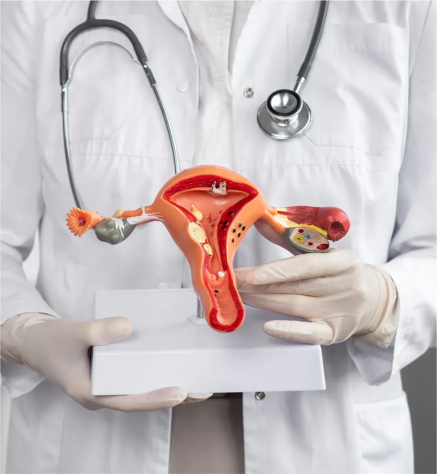 Imagen del consultorio de Ginecología y Obstetricia.