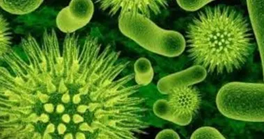 Imagen complementaria de Infectología.